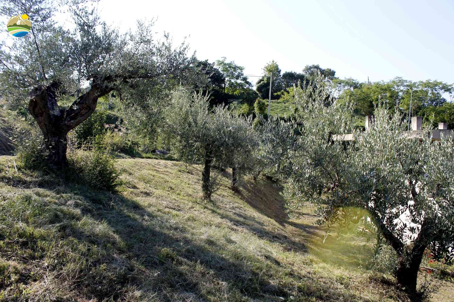 Country Houses Country Houses for sale Arsita (TE), Casa Gran Sasso - Arsita - EUR 70.999 710