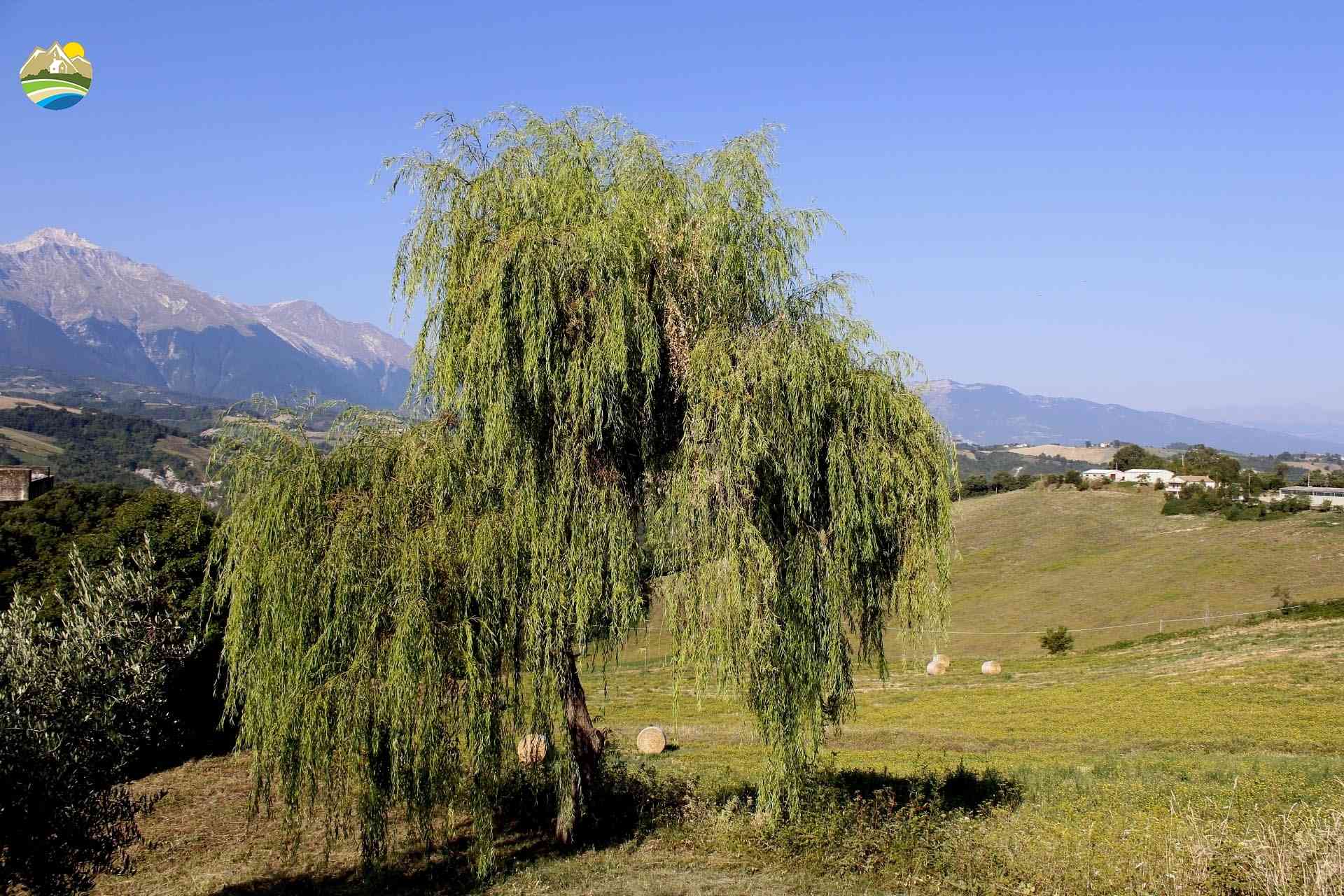 Country Houses Country Houses for sale Arsita (TE), Casa Gran Sasso - Arsita - EUR 70.999 780