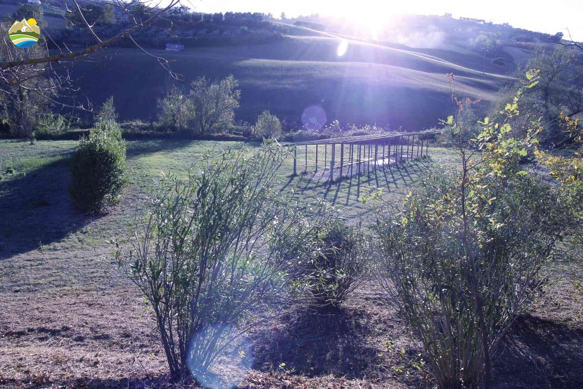 Country Houses Country Houses for sale Pineto (TE), Tenuta Cavallucci - Pineto - EUR 524.304 730