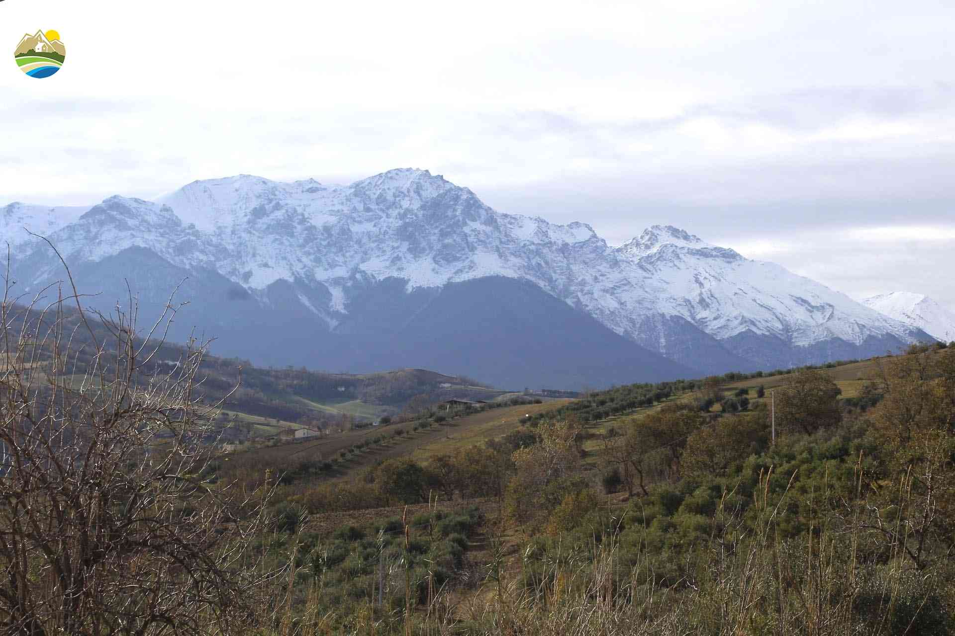 Country Houses Country Houses for sale Bisenti (TE), Casa del Gatto - Bisenti - EUR 38.230 860