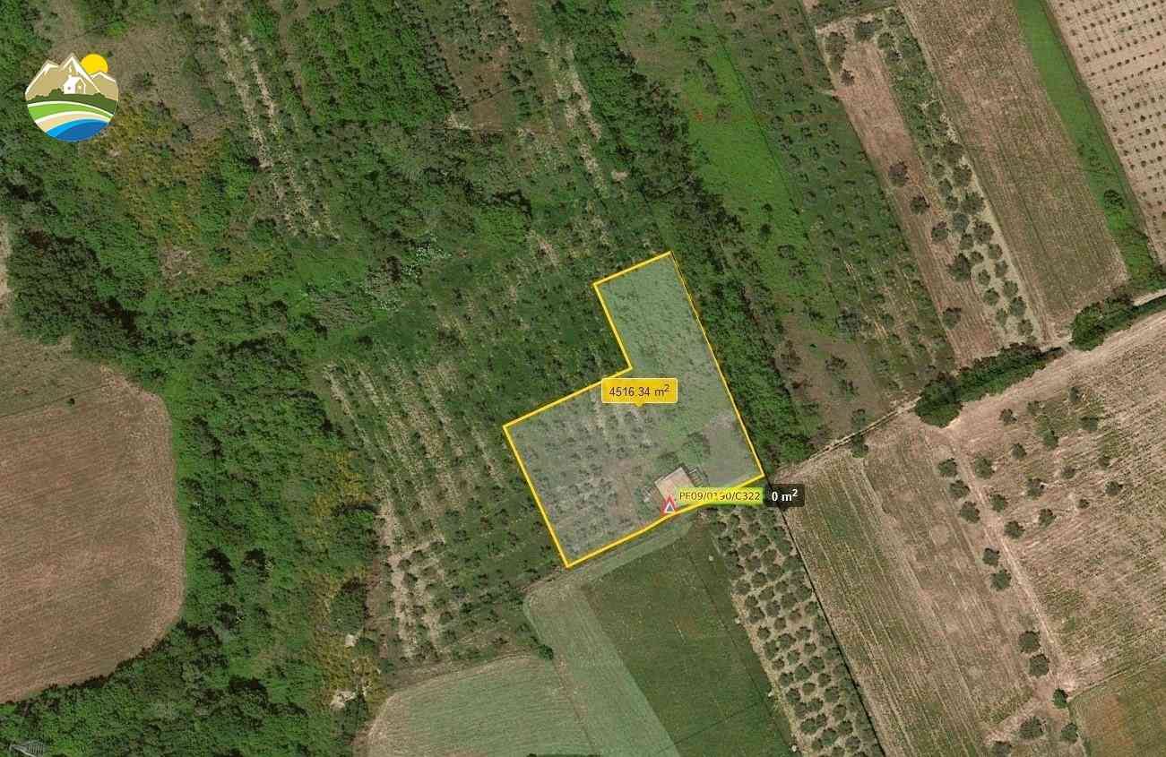 Country Houses Country Houses for sale Castilenti (TE), Cascina degli Ulivi - Castilenti - EUR 119.061 820