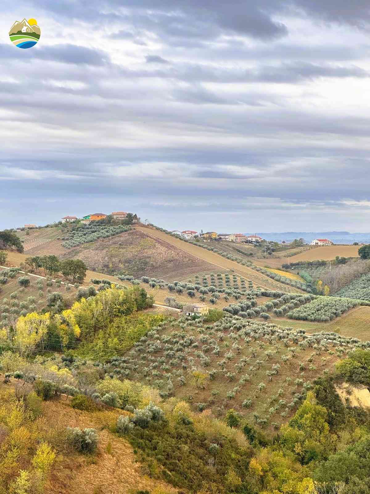 Country Houses Country Houses for sale Castilenti (TE), Cascina degli Ulivi - Castilenti - EUR 119.061 830