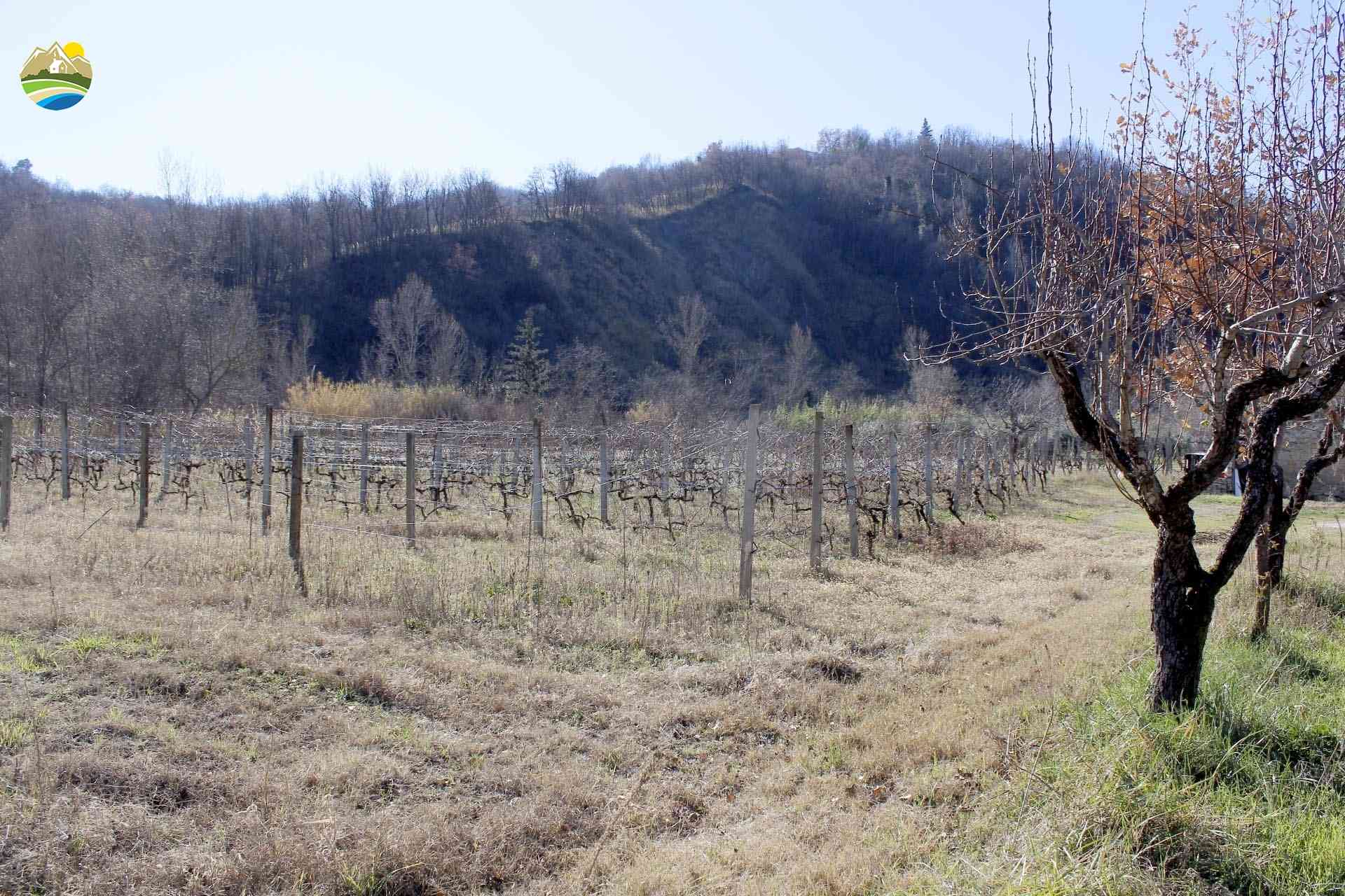 Country Houses Country Houses for sale Bisenti (TE), Casa del Pettirosso - Bisenti - EUR 95.000 690