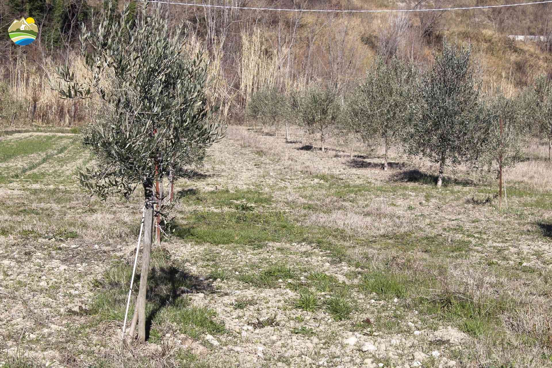 Country Houses Country Houses for sale Bisenti (TE), Casa del Pettirosso - Bisenti - EUR 95.000 910