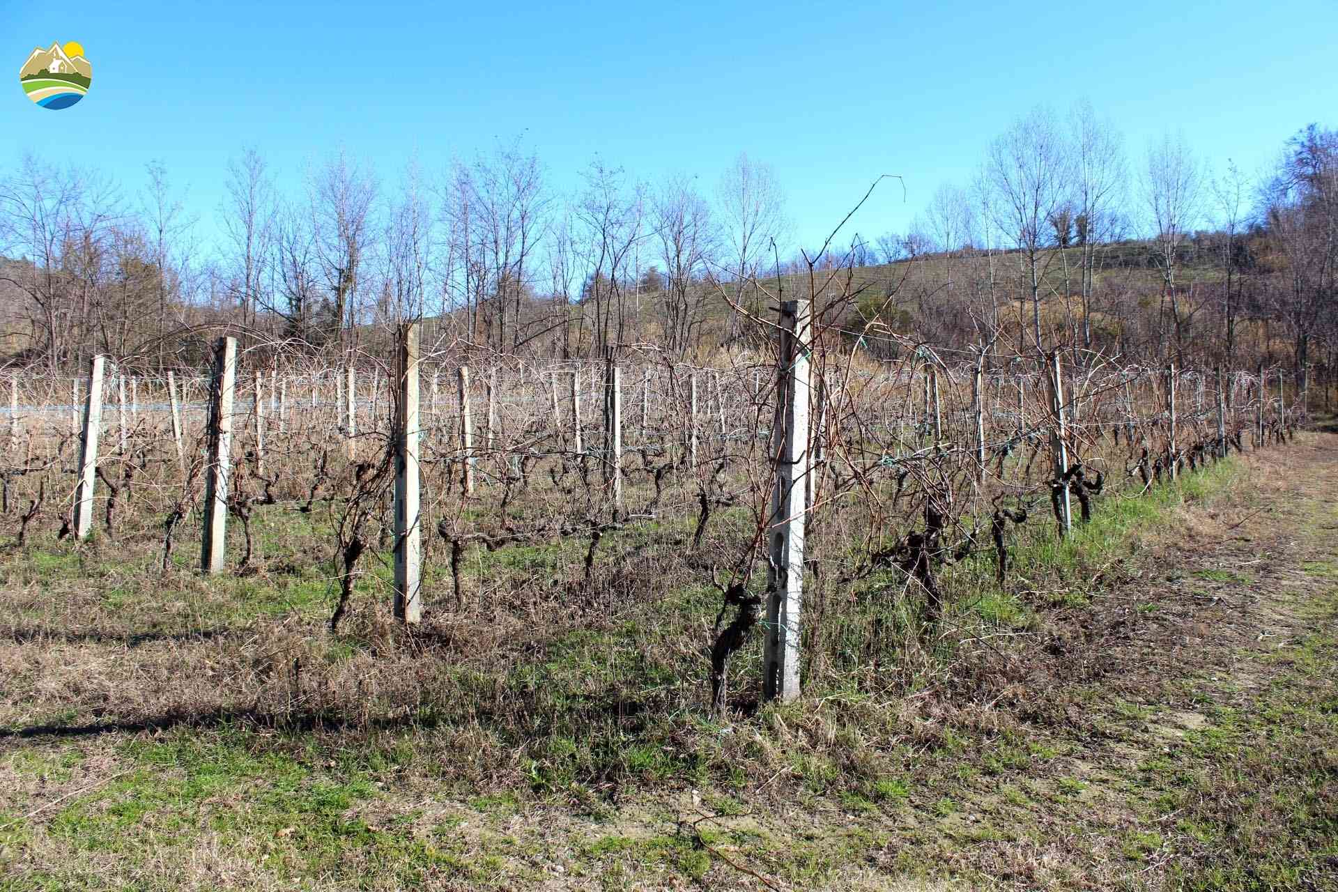 Country Houses Country Houses for sale Bisenti (TE), Casa del Pettirosso - Bisenti - EUR 95.000 920