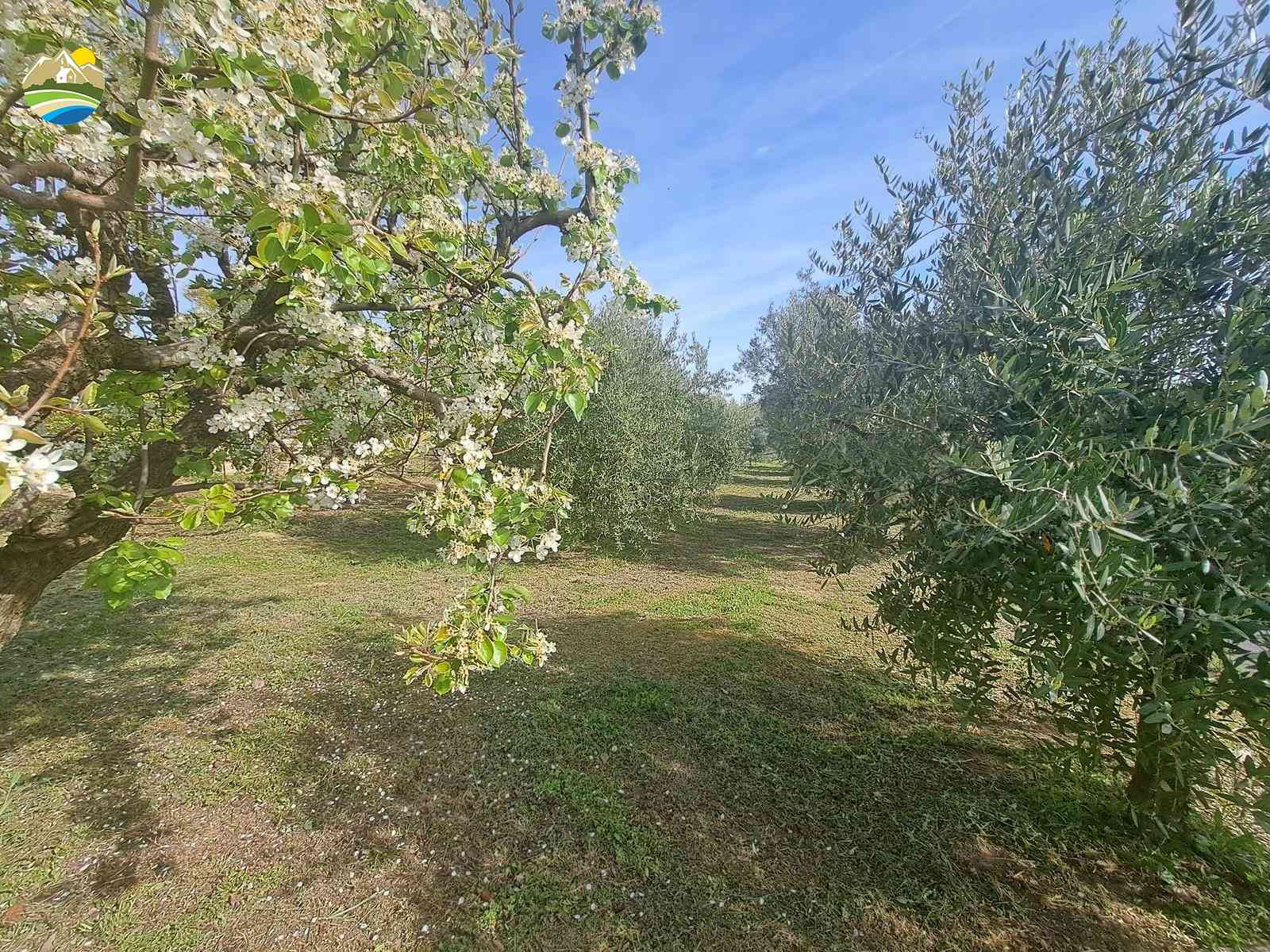 Country Houses Country Houses for sale Bellante (TE), Casa Acero - Bellante - EUR 283.998 1010