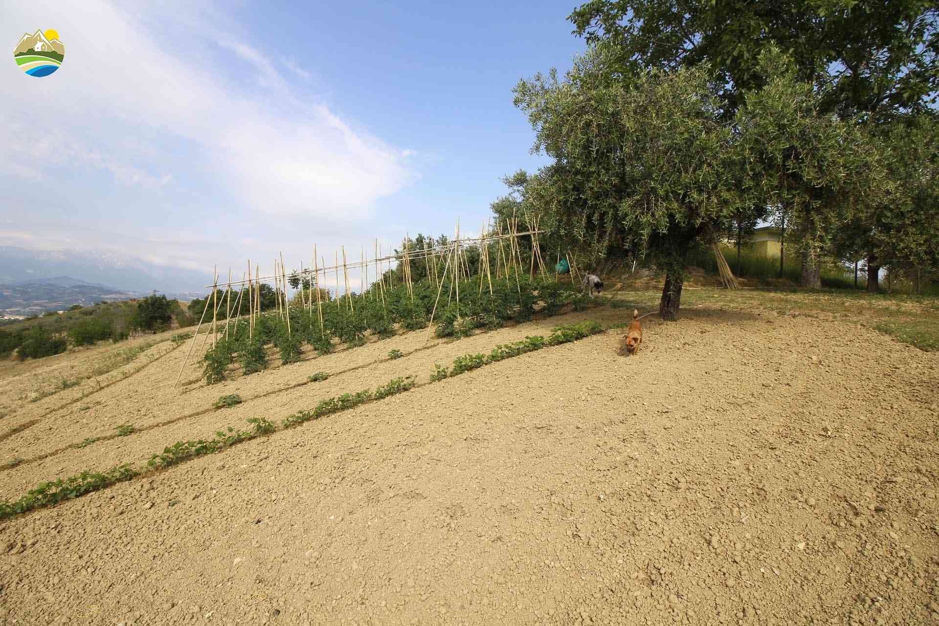 Country Houses Country Houses for sale Castilenti (TE), Casa San Paolo - Castilenti - EUR 270.890 1030