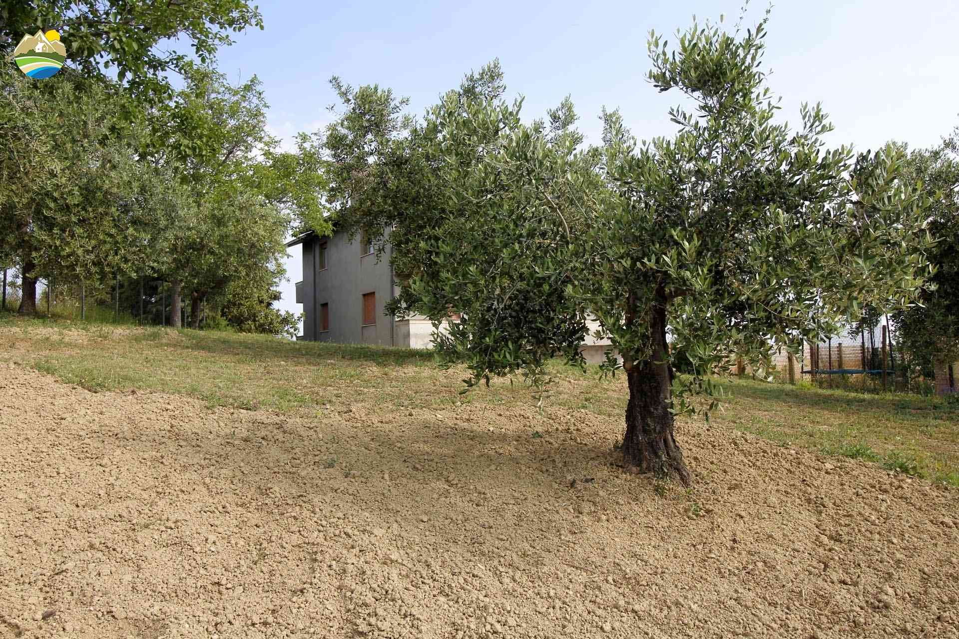 Country Houses Country Houses for sale Castilenti (TE), Casa San Paolo - Castilenti - EUR 270.890 1040