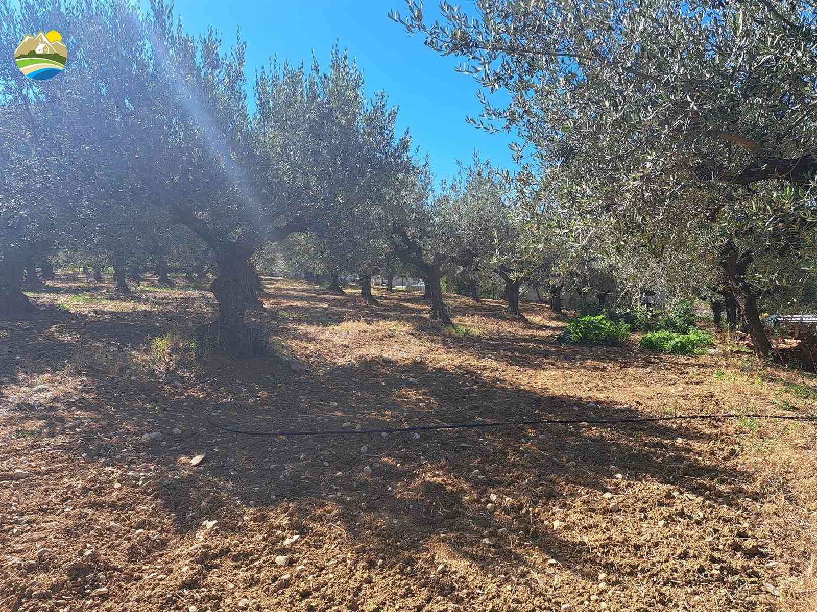 Villa Villa for sale Collecorvino (PE), Villa Tortora - Collecorvino - EUR 349.536 1030