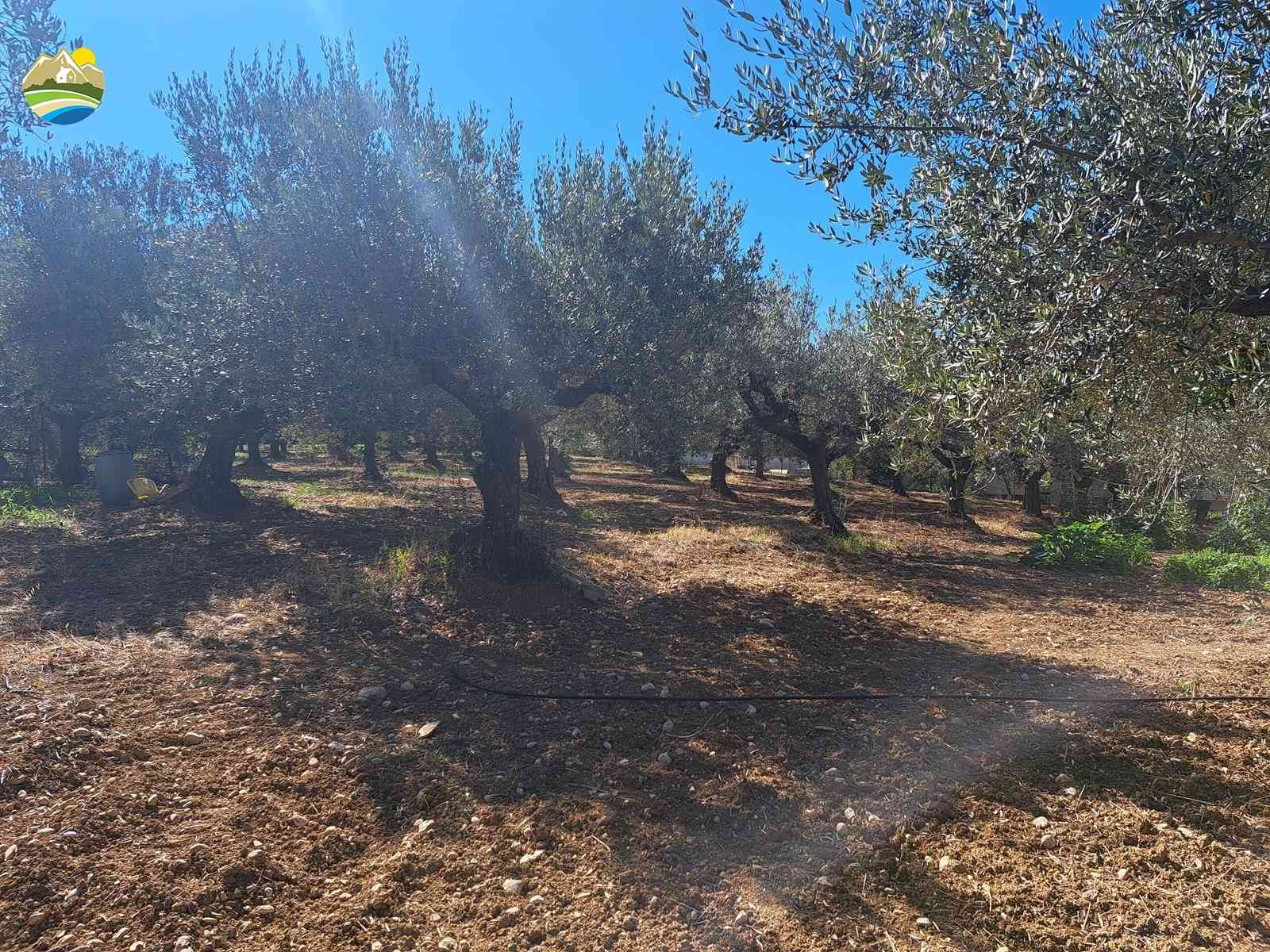 Villa Villa for sale Collecorvino (PE), Villa Tortora - Collecorvino - EUR 349.536 800