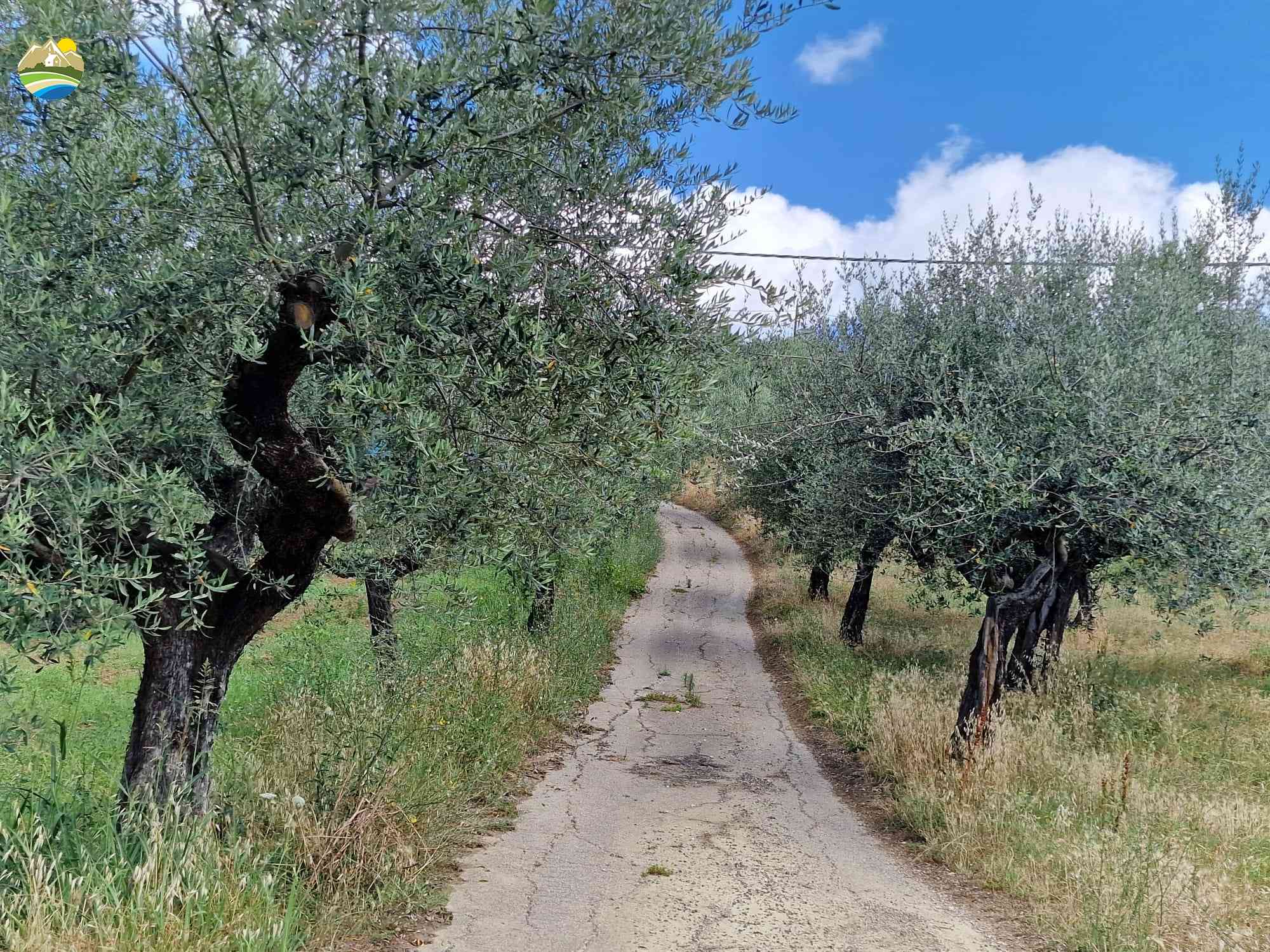 Country Houses Country Houses for sale Penne (PE), Casolare del Gallo - Penne - EUR 152.922 790