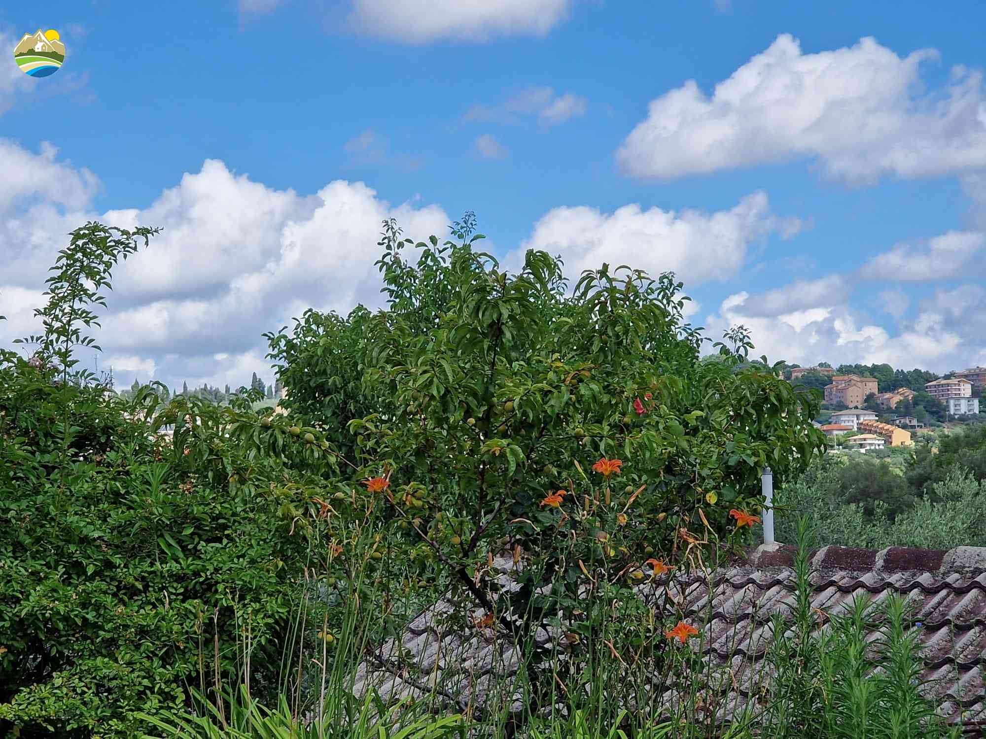 Country Houses Country Houses for sale Penne (PE), Casolare del Gallo - Penne - EUR 152.922 970
