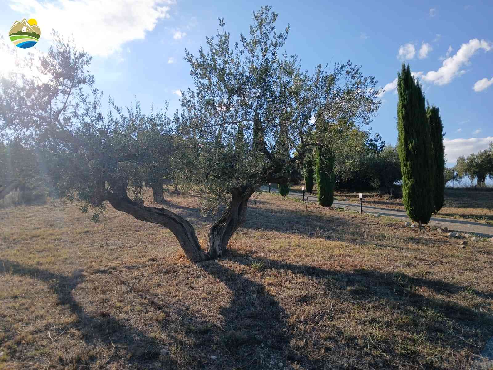 Country Houses Country Houses for sale Città Sant'Angelo (PE), Casale delle Fate - Città Sant'Angelo - EUR 381.212 1180