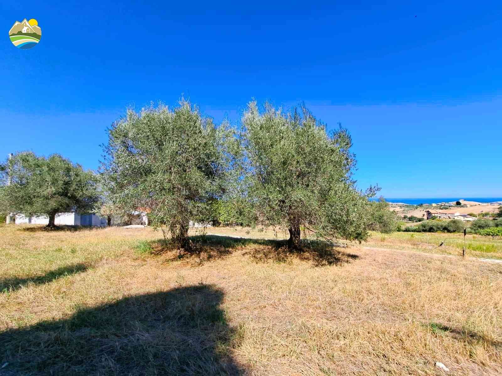 Country Houses Country Houses for sale Atri (TE), Cascina del Mare - Atri - EUR 101.584 780