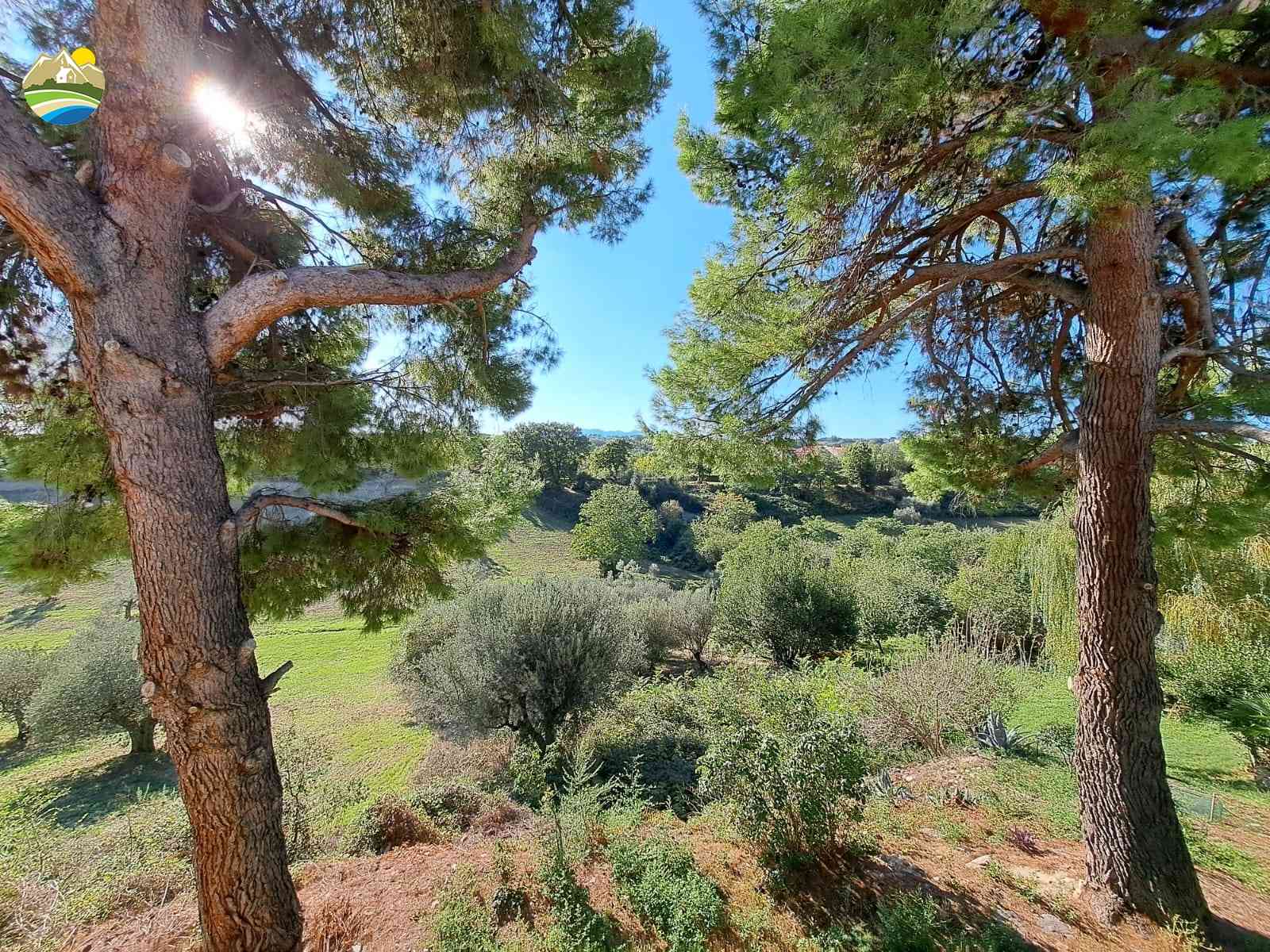 Historical Townhouse Historical Townhouse for sale Vicoli (PE), Palazzo Fontana - Vicoli - EUR 267.613 1010