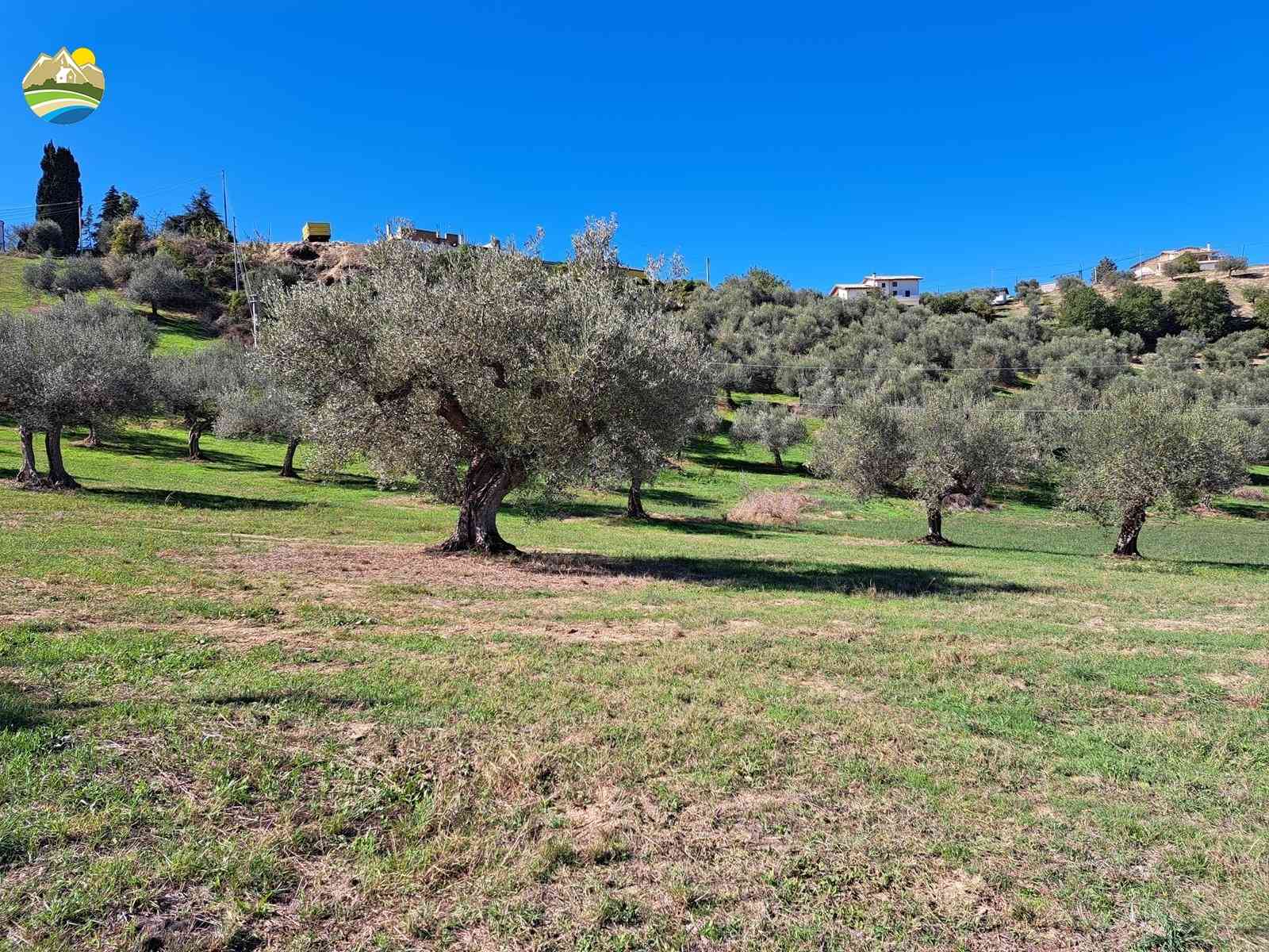 Country Houses Country Houses for sale Picciano (PE), Casa Airone - Picciano - EUR 205.000 920