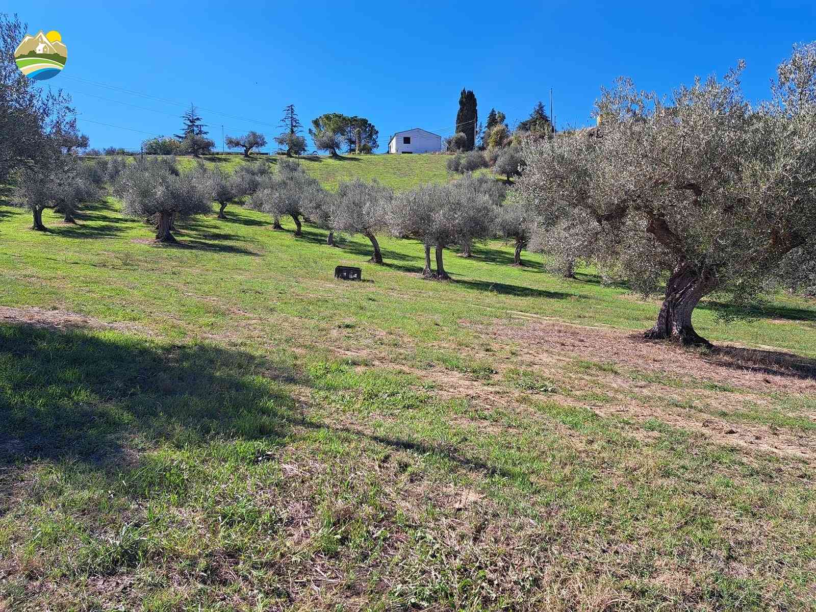 Country Houses Country Houses for sale Picciano (PE), Casa Airone - Picciano - EUR 205.000 940