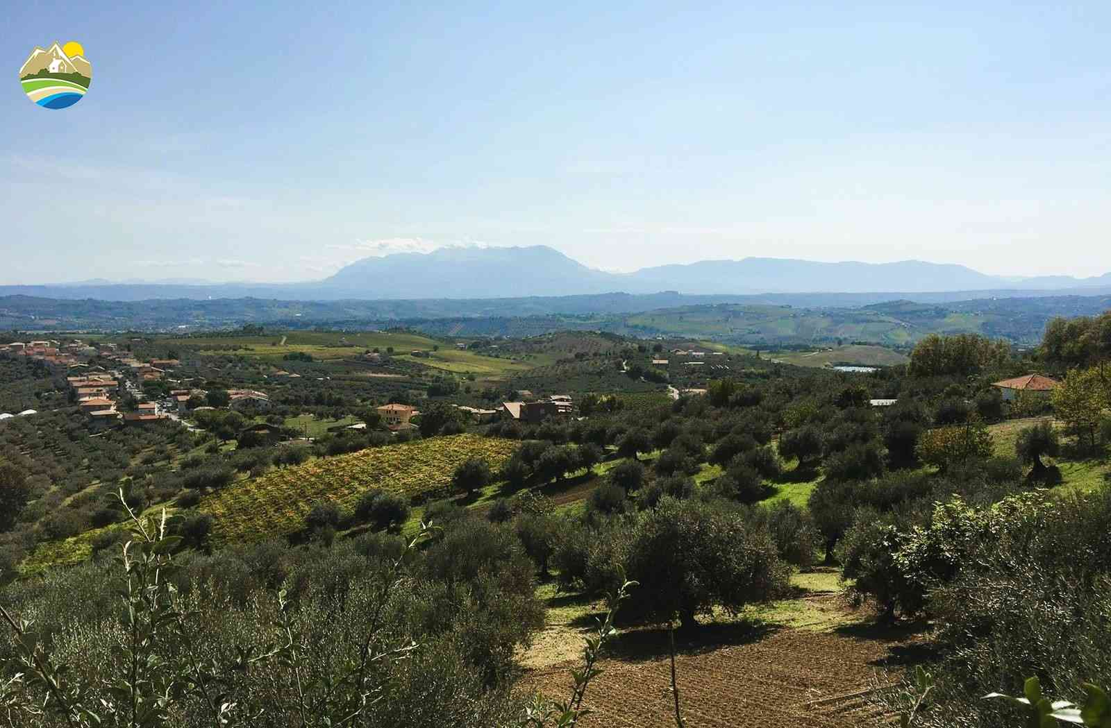 Villa Villa for sale Città Sant'Angelo (PE), Villa Olivella - Città Sant'Angelo - EUR 567.996 1150