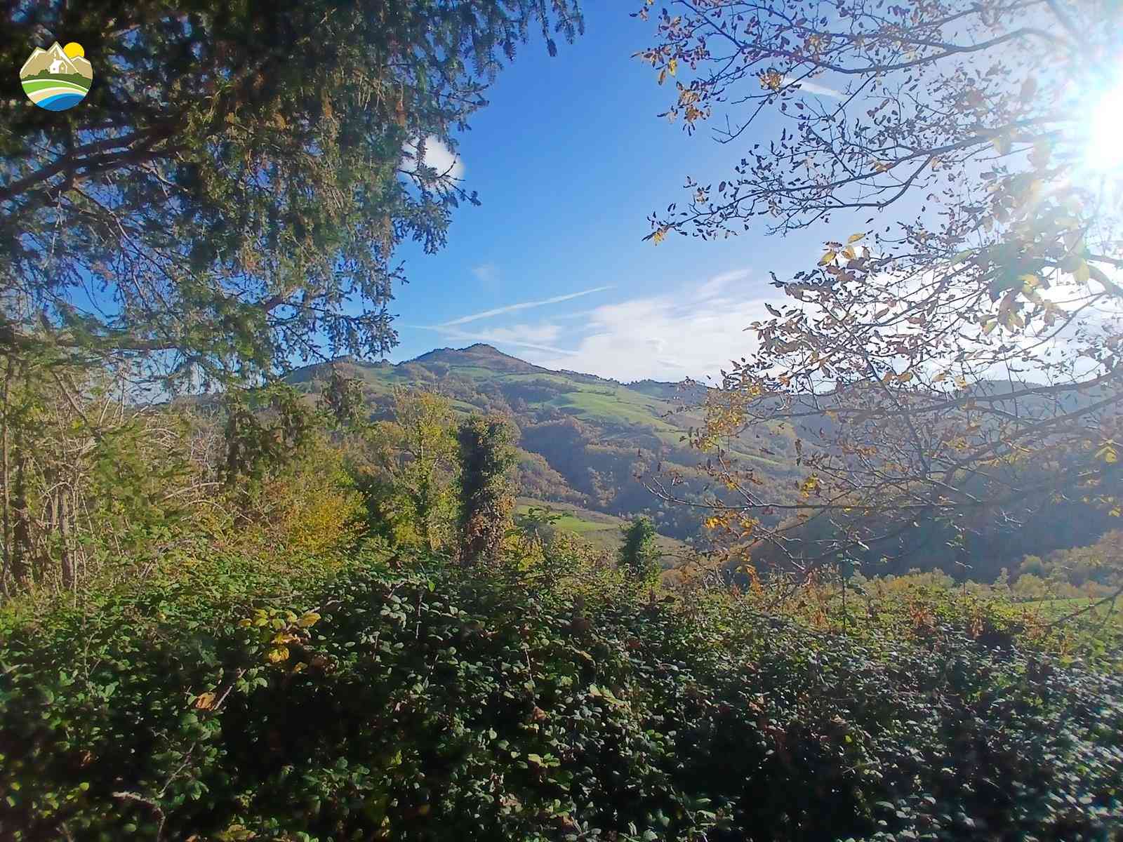 Country Houses Country Houses for sale Arsita (TE), Casolare dei Cervi - Arsita - EUR 180.229 1150