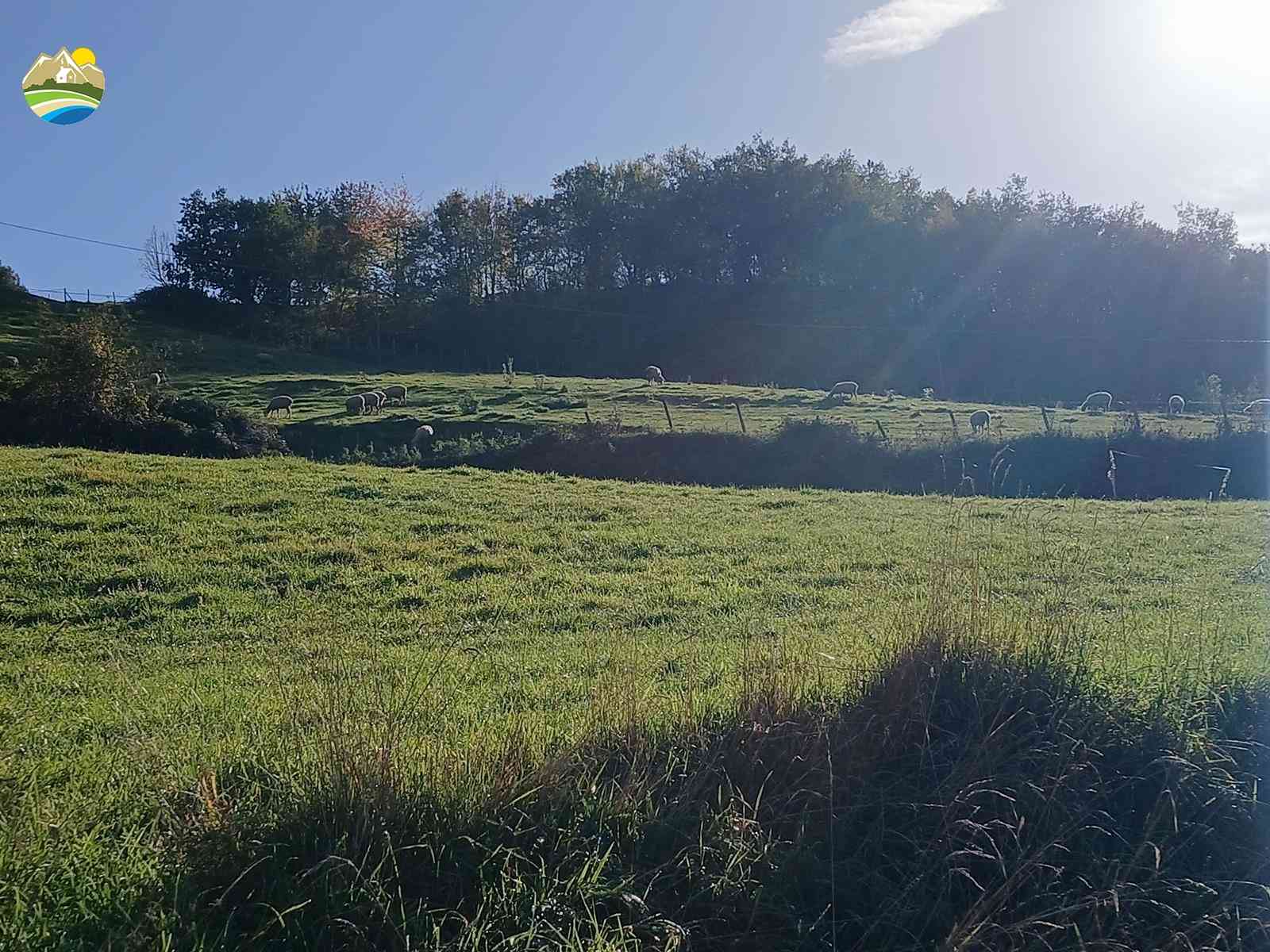 Country Houses Country Houses for sale Arsita (TE), Casolare dei Cervi - Arsita - EUR 180.229 1200
