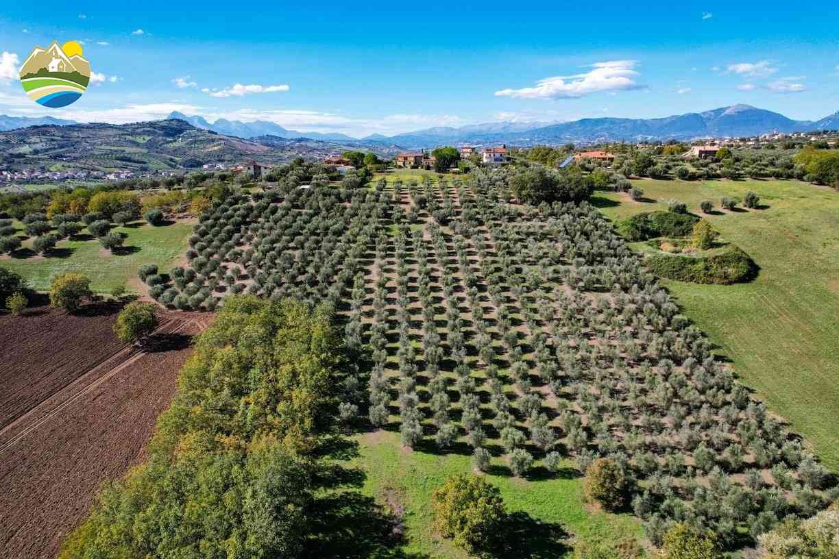 Villa Villa for sale Bellante (TE), Villa Raggio di Luna - Bellante - EUR 486.073 870