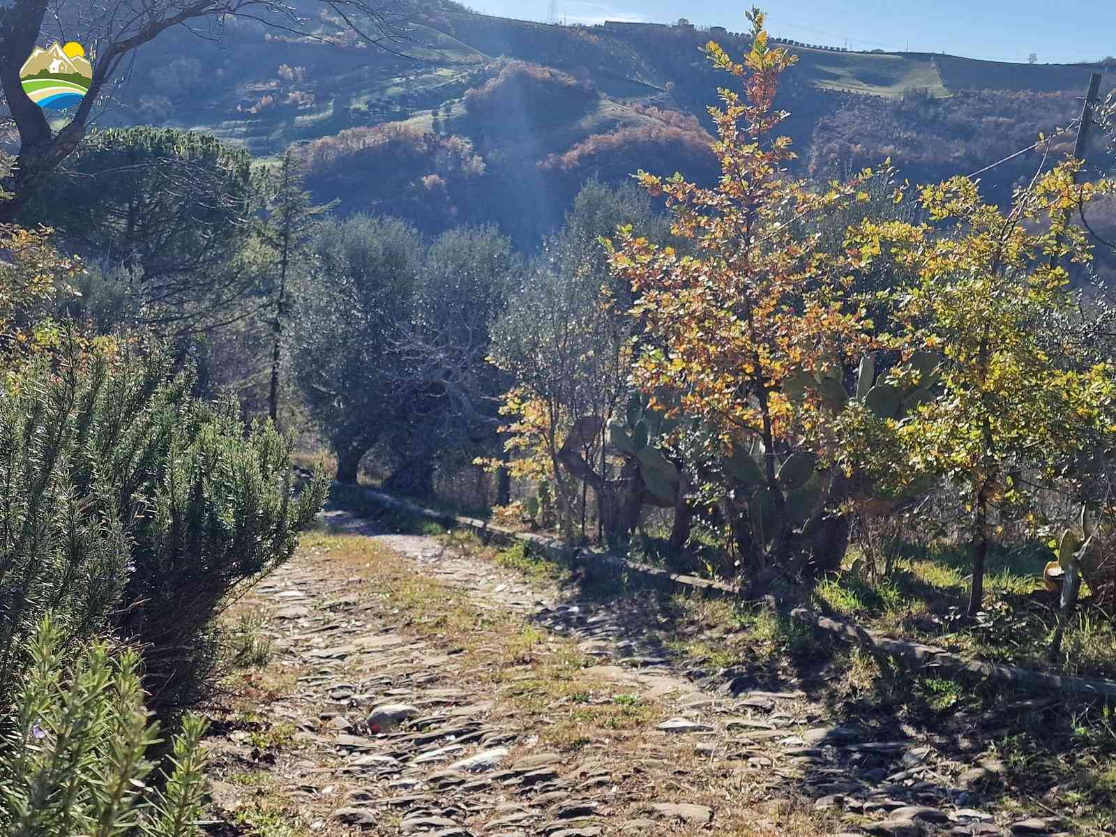 Country Houses Country Houses for sale Castiglione Messer Raimondo (TE), Casolare Icola-ò - Castiglione Messer Raimondo - EUR 163.845 880