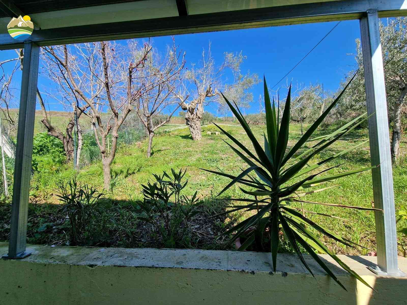 Country Houses Country Houses for sale Notaresco (TE), Casa Primavera - Notaresco - EUR 86.292 1020