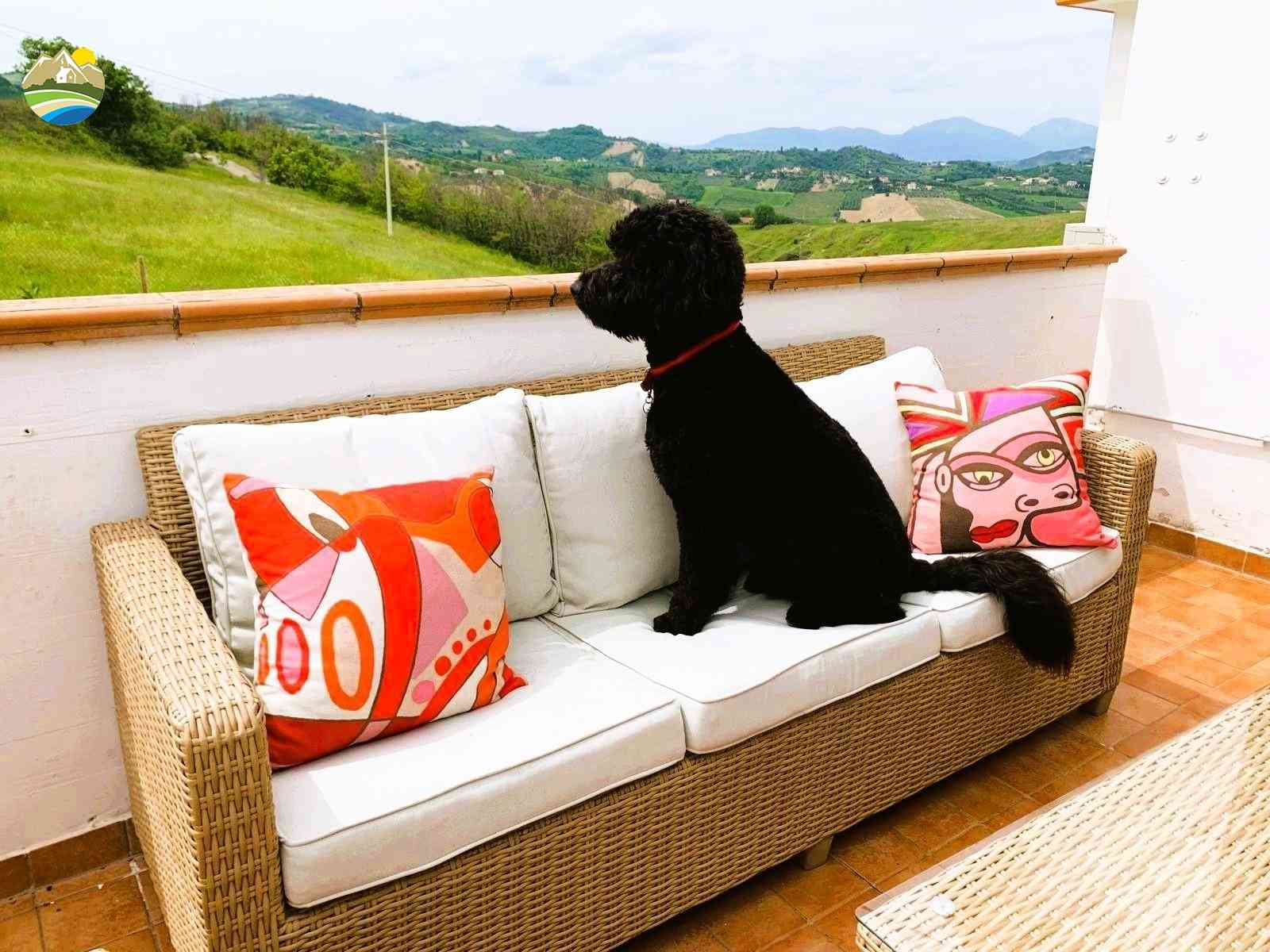 Villa Villa for sale Cellino Attanasio (TE), Villa Collina - Cellino Attanasio - EUR 464.227 1230