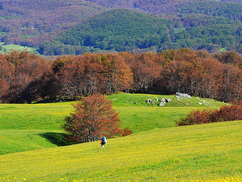 <strong>Abruzzo la regione più verde d'Europa</strong>